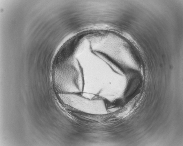X0000059101232200511041905
