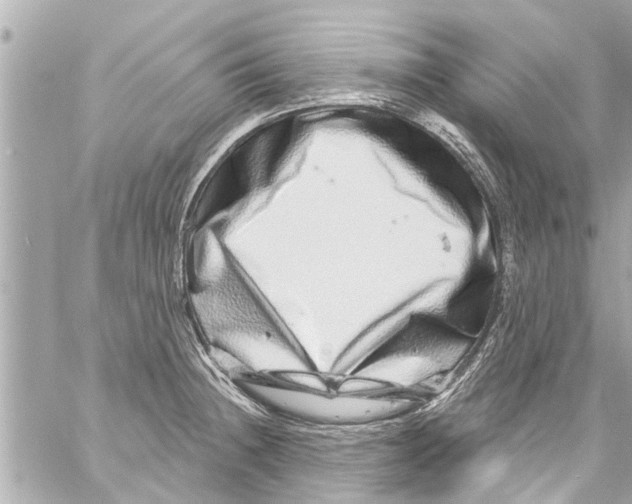X0000059101236200511041905