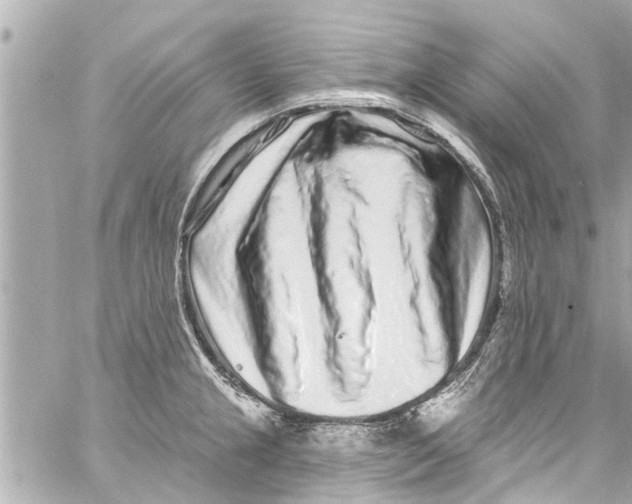 X0000059101237200511041905