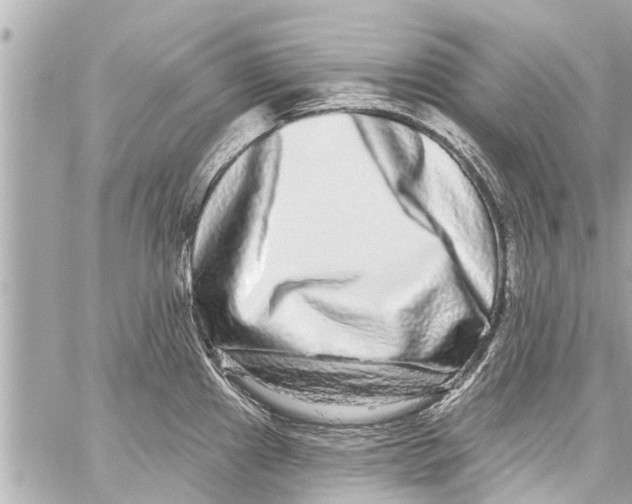 X0000059101241200511041905