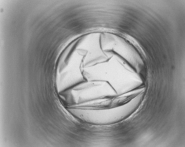 X0000059101244200511041905