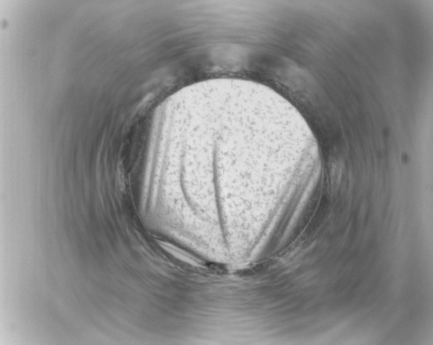 X0000059101250200511041904