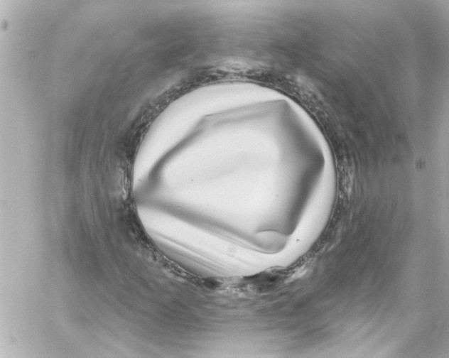 X0000059101253200511041904