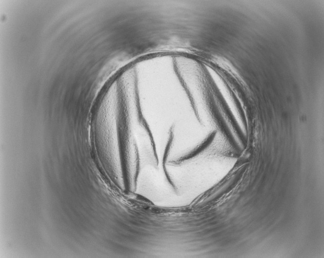 X0000059101268200511041904