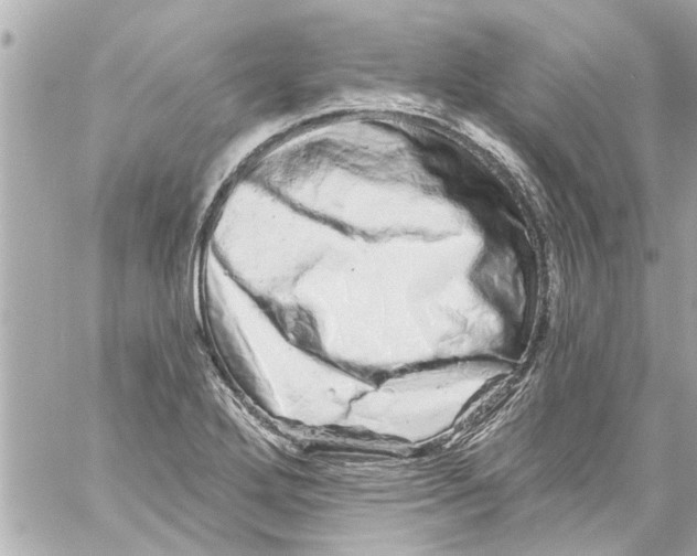 X0000059101272200511041904