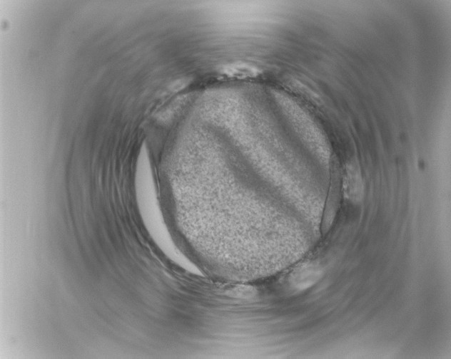 X0000059101298200511041903