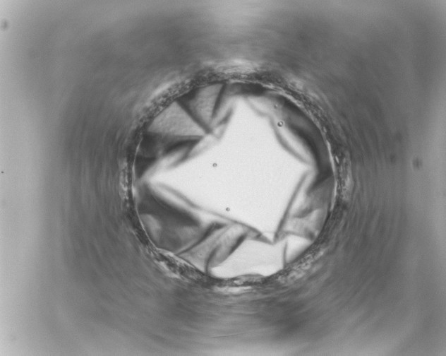 X0000059101301200511041903