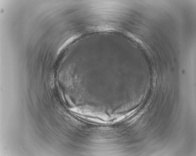 X0000059101306200511041903