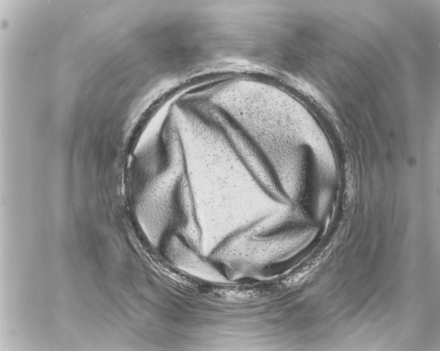 X0000059101318200511041903