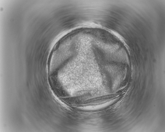 X0000059101335200511041903