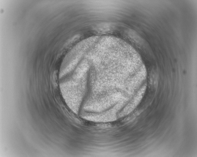 X0000059101346200511041903