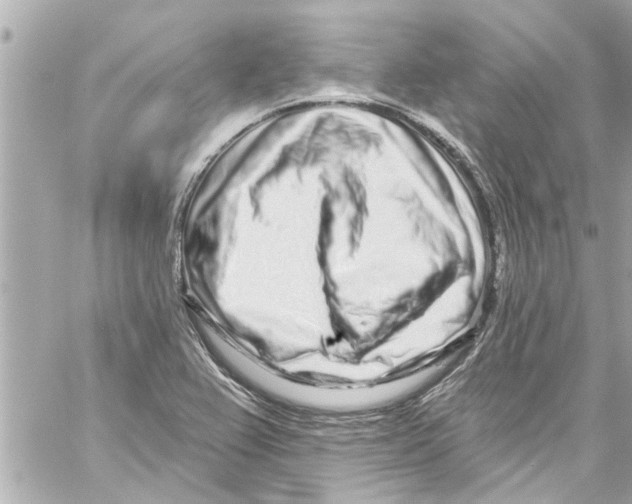 X0000059101367200511041902