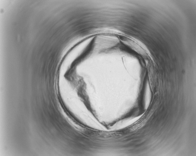 X0000059101391200511041902