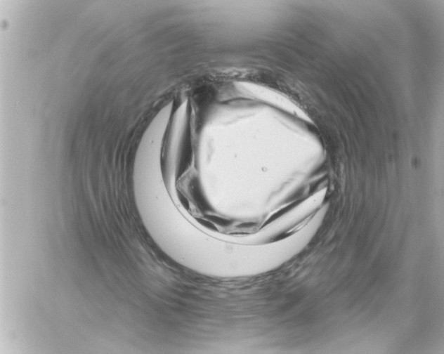 X0000059101394200511041901