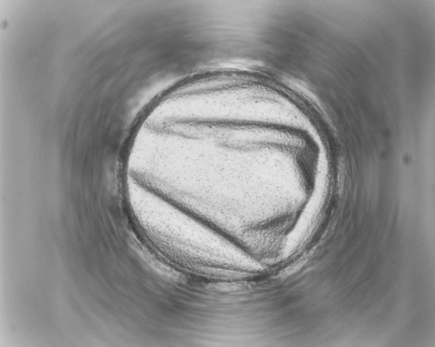 X0000059101404200511041901