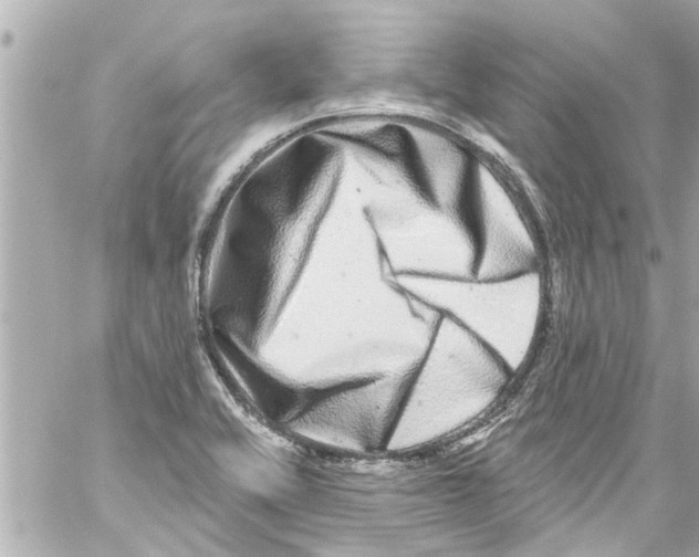 X0000059101416200511041901