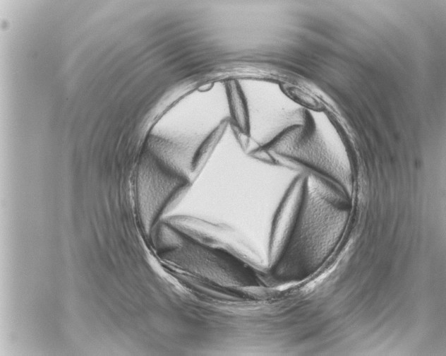 X0000059101433200511041902