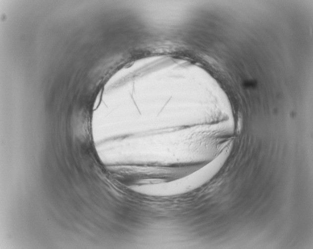 X0000059101444200511041901