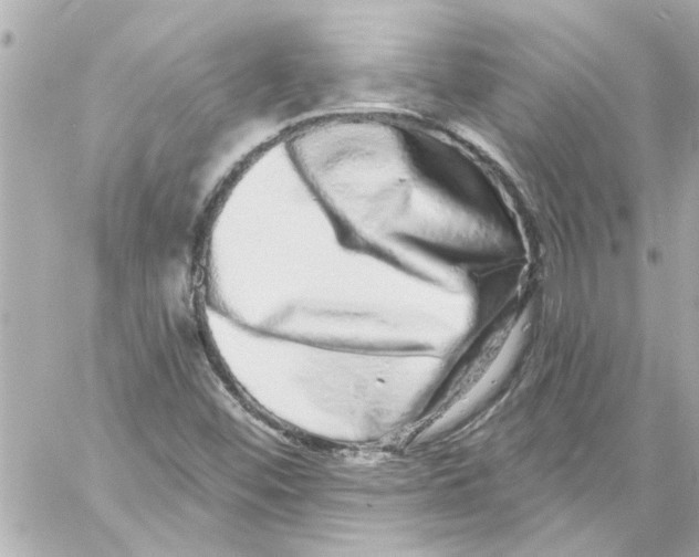 X0000059101452200511041901