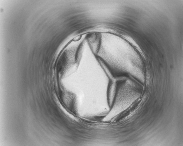 X0000059101484200511041900