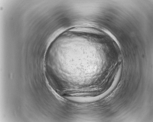 X0000059101485200511041900