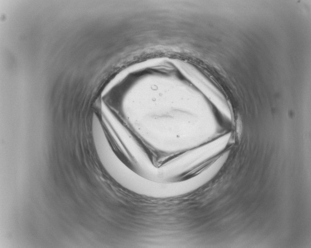 X0000059101492200511041859