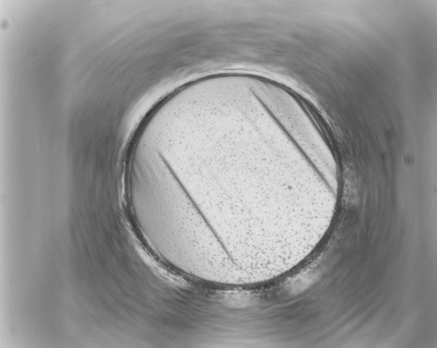 X0000059101511200511041900