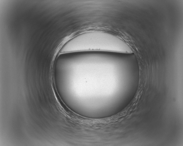 X0000059220003200510140812