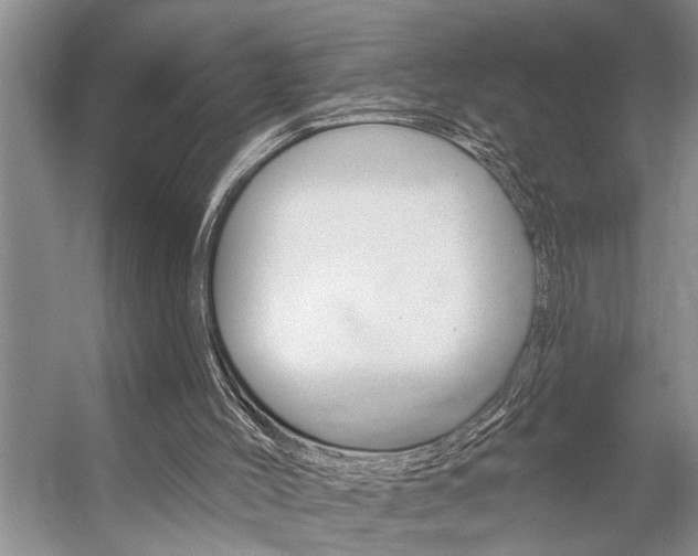 X0000059220004200510140812