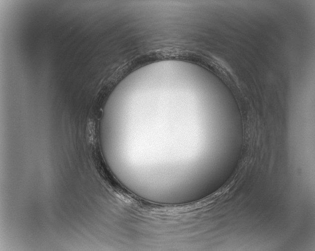 X0000059220025200510140812
