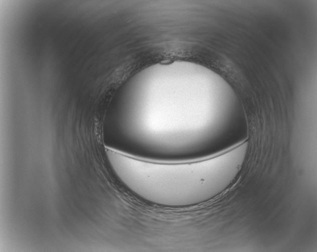 X0000059220029200510140812