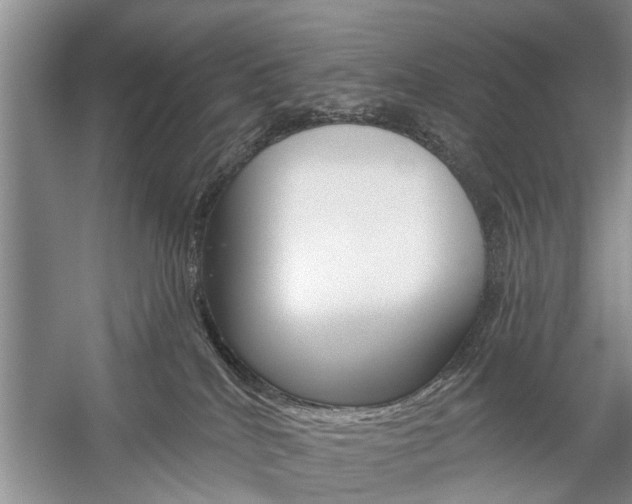 X0000059220040200510140811