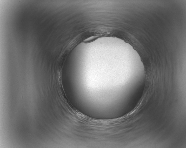X0000059220045200510140811