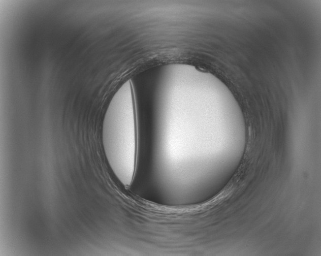 X0000059220048200510140811