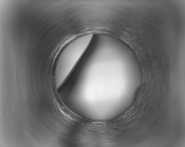 X0000059220050200510140810