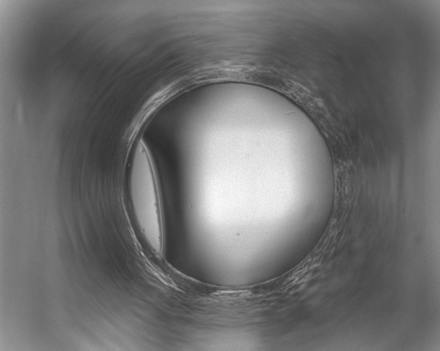 X0000059220051200510140810
