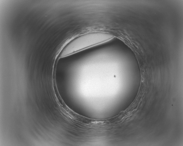 X0000059220052200510140810