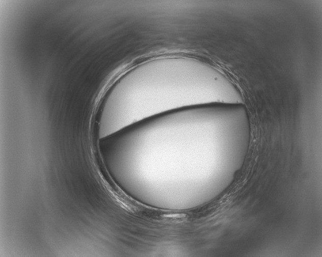 X0000059220053200510140810