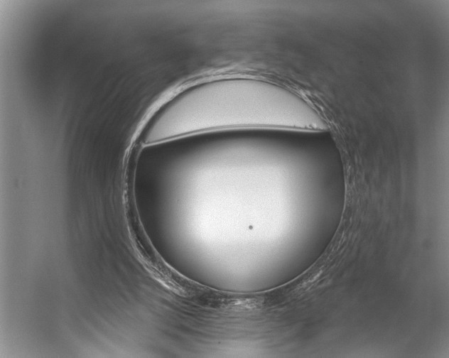 X0000059220056200510140810
