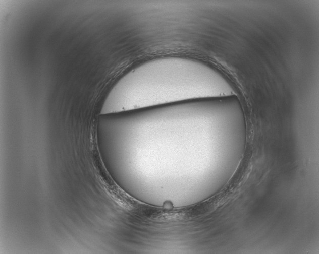 X0000059220065200510140811