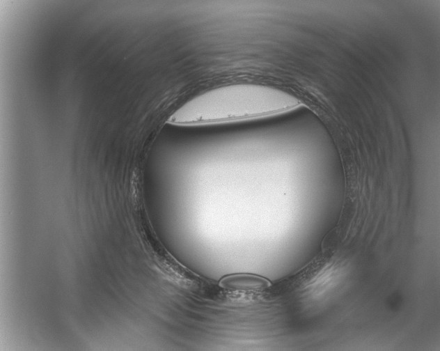X0000059220077200510140811