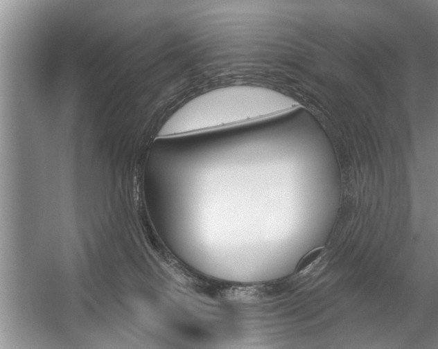 X0000059220086200510140811