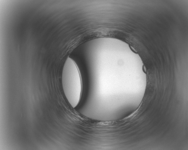 X0000059220094200510140811