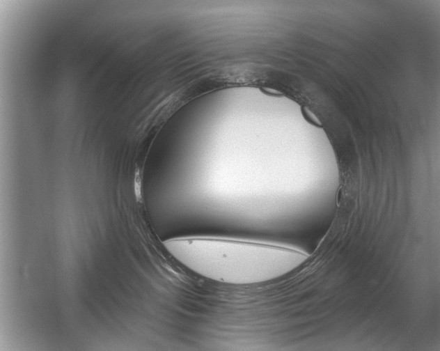 X0000059220095200510140811