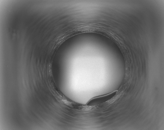 X0000059220096200510140811