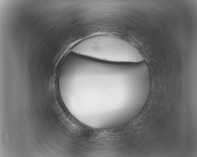 X0000059220098200510140810