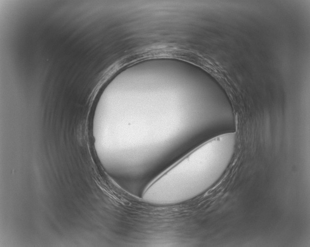 X0000059220099200510140810