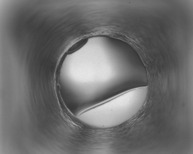 X0000059220100200510140810