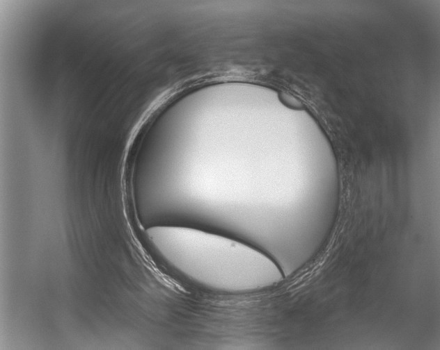 X0000059220102200510140810