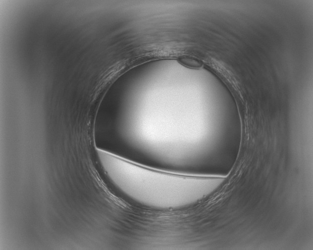 X0000059220105200510140810